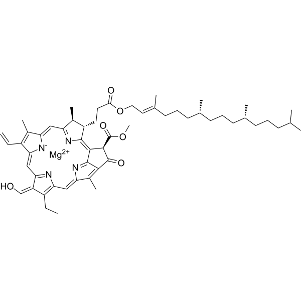 Chlorophyll b (chlorophyll B) 519-62-0